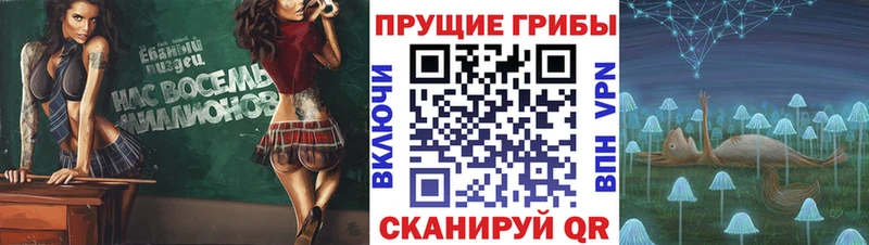 Галлюциногенные грибы Psilocybe  Лянтор 